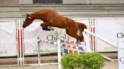 Future poney de Grand Prix 
