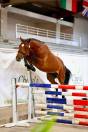 Future poney Asp2/Asp1