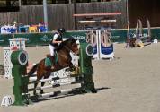 Vends ponette de concours new forest