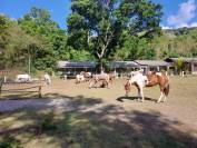?? RECRUTEMENT &ndash; MONITEUR / MONITRICE D&rsquo;&Eacute;QUITATION &ndash; 