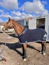 QUENELLE D'ARCHONFOSSE, 10Y, Jument&nbsp;CSO