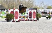 QUENELLE D'ARCHONFOSSE, 10Y, Jument&nbsp;CSO