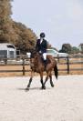 QUENELLE D'ARCHONFOSSE, 10Y, Jument&nbsp;CSO
