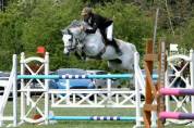Foal Z 