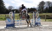 DP poney D