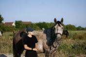 DP poney D