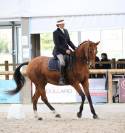 A VENDRE CHEHAD BEL ORIENT (CARDERO CHAMPS ELYSEES&deg;