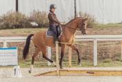 A VENDRE CHEHAD BEL ORIENT (CARDERO CHAMPS ELYSEES&deg;