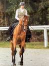 A VENDRE CHEHAD BEL ORIENT (CARDERO CHAMPS ELYSEES&deg;