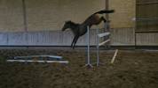 Top 4 ans X Vivant vd Heffinck 