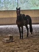 Top 4 ans X Vivant vd Heffinck 