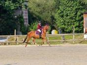 PFS 5ans 1m47