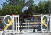 Hongre SF de 15 ans - Boy - 1m68