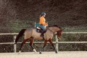 &Agrave; VENDRE SF DE 13 ans 