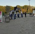 Jument de 6 ans sport 