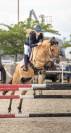 Poney D 6ans 