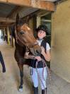 &Agrave; VENDRE ou &Agrave; LOUER &ndash; Ponette de sport - P &Eacute;lite / AS2