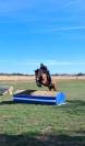 Ponette connemara 4 ans cso cce 