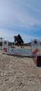 Ponette connemara 4 ans cso cce 