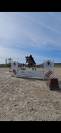 Ponette connemara 4 ans cso cce 