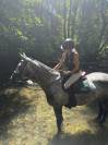 ✨ &Agrave; vendre &ndash; Jument hongroise de 6 ans