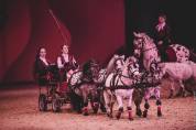 2 poneys shetland attel&eacute;s et spectacle 