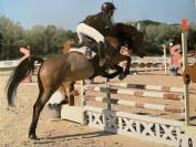 vendo doppio pony