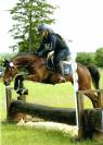 Poney de 5 ans