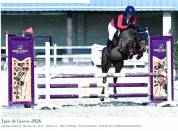 Poney de 5 ans