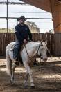 Caballo castrado Quarter Horse En venta 2021 Cremello por AR ROCK STAR