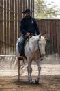 Caballo castrado Quarter Horse En venta 2021 Cremello por AR ROCK STAR
