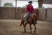 Yegua Quarter Horse En venta 2021 Alaz&aacute;n por AR ROCK STAR