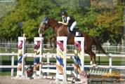 castrone da salto 2012