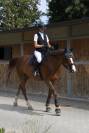 castrone da salto 2012