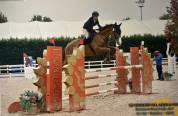 castrone da salto 2012