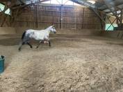 VENDS PONETTE CSO, 6 ANS