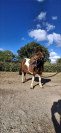 Ponette de 7 ans 