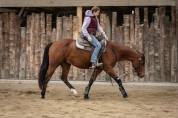 Hongre Paint Horse APHA &mdash; Colorado du TR (3 ans)