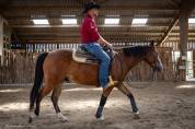 Hongre Quarter Horse AQHA &mdash; TR BUENO MAGIC BAR