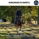 KINGMAN D'ASMYL
