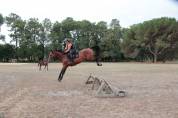 5 ans petit fils de Casall