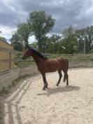5 ans petit fils de Casall