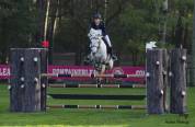 poney ma&icirc;tre d&rsquo;&eacute;cole cso as