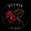 &Eacute;curie de Baya - &Eacute;levage - reconversion - &agrave; domicile 