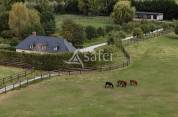 Haras d'&eacute;levage - Pays d'Auge