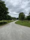 Haras d'&eacute;levage - Pays d'Auge