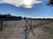 Centre d'entrainement trotteur - Pays d'Auge