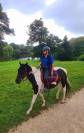 Hongre Pinto 6 ans 1,56m