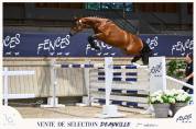  ? &Agrave; LA RECHERCHE DE VOTRE FUTUR CHEVAL DE SPORT ?
