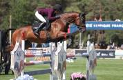  ? &Agrave; LA RECHERCHE DE VOTRE FUTUR CHEVAL DE SPORT ?